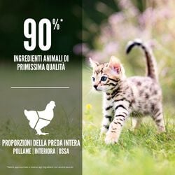 null - Product thumbnail 4.0